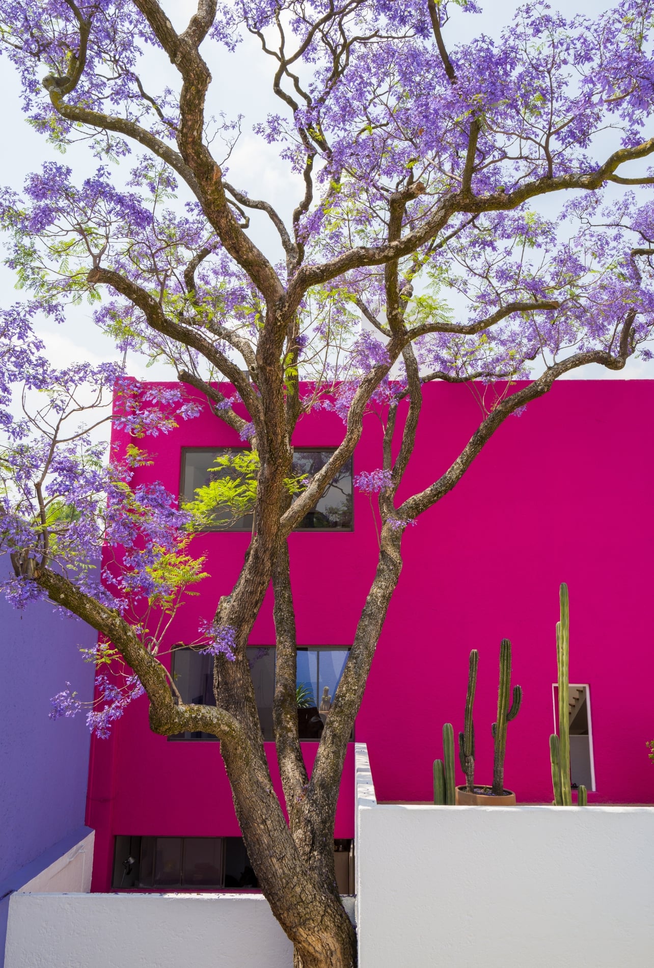 Exterior shot of the Casa Luis Barragán museum painted pink