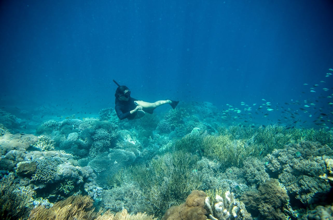 Snorkeling in Dunia Baru