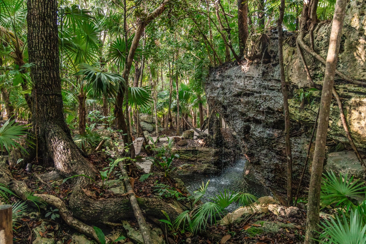 Exterior shot of a waterfall in a tropical forest