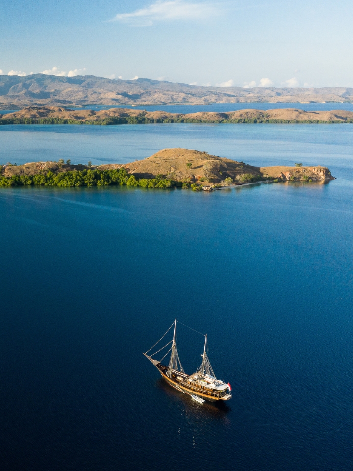 Bon Voyage - Bal Harbour Shops