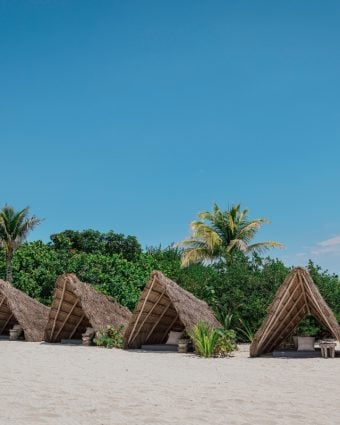 Enter the House of AïA