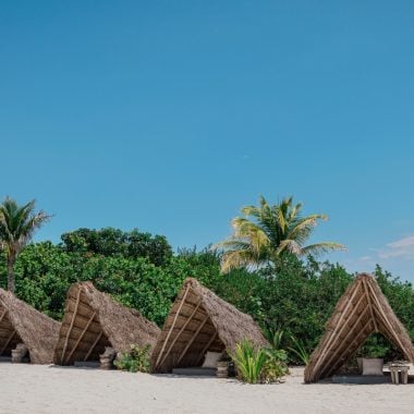 Enter the House of AïA