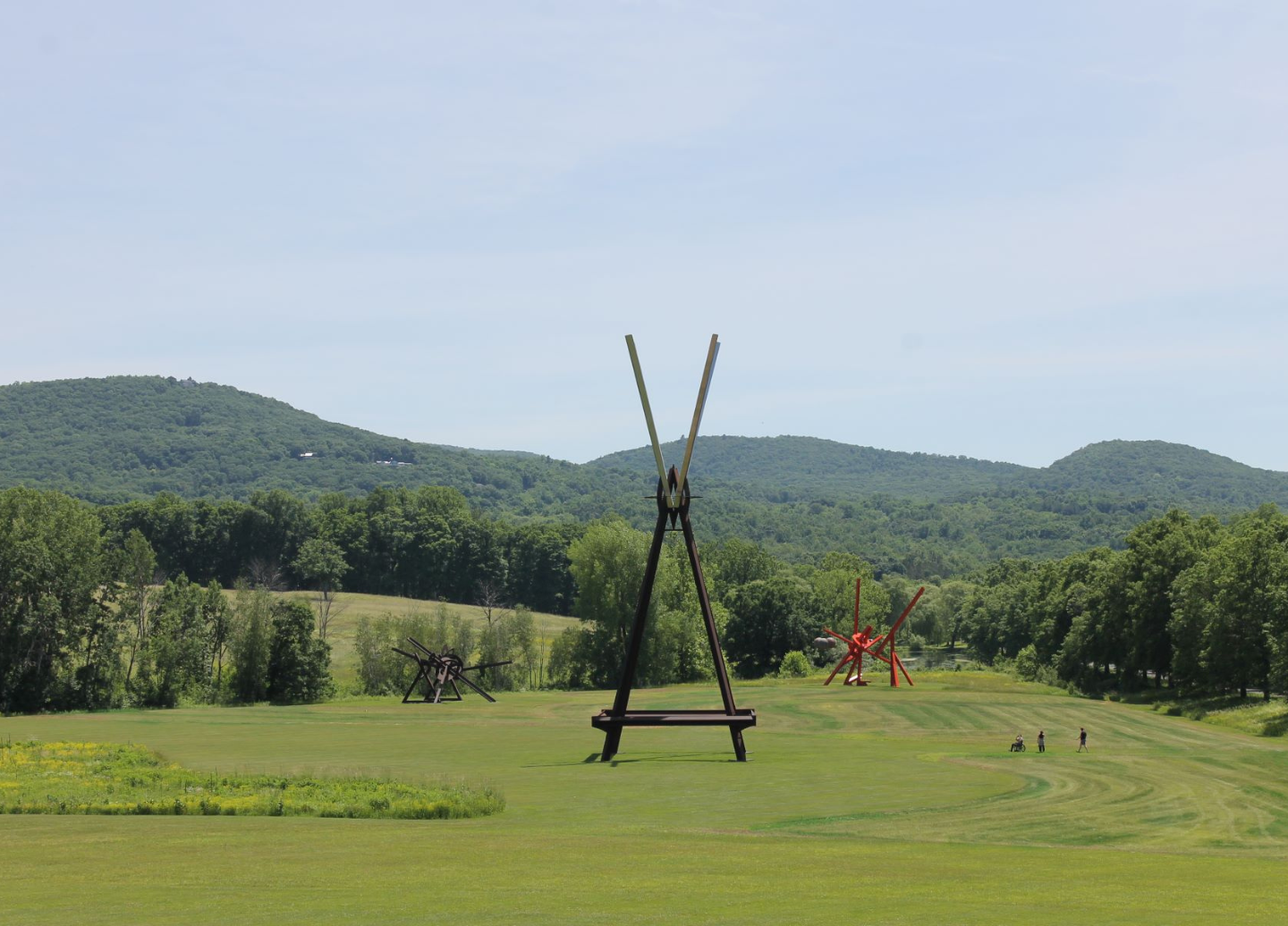 Art in the Wild