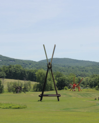 Art in the Wild