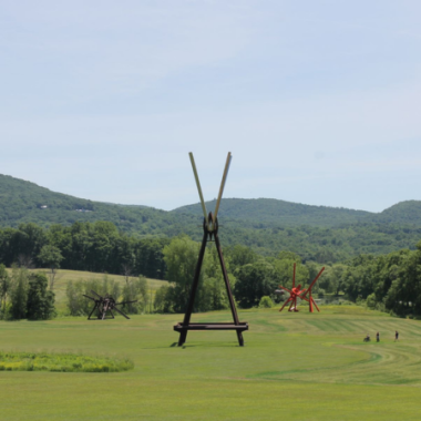 Art in the Wild