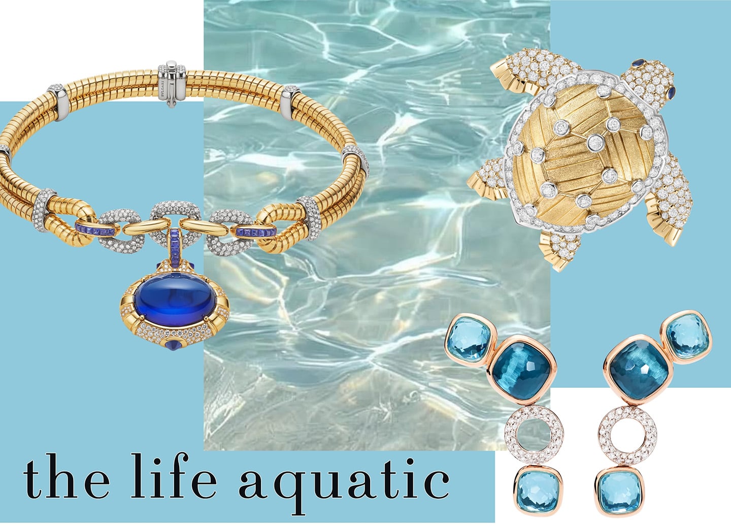 The Life Aquatic