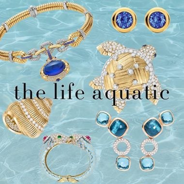 The Life Aquatic