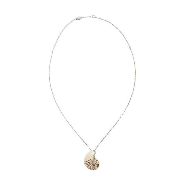 Loro Piana Shell Necklace