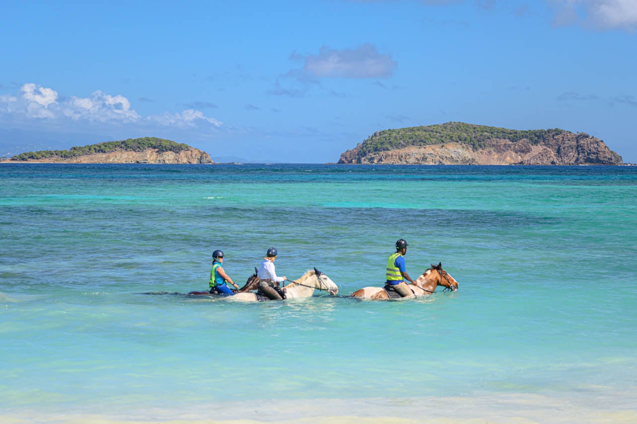 Horseback riding in Mustique