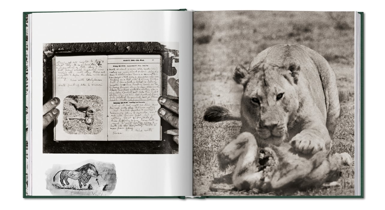 A photograph of a book interior including a page with a lion